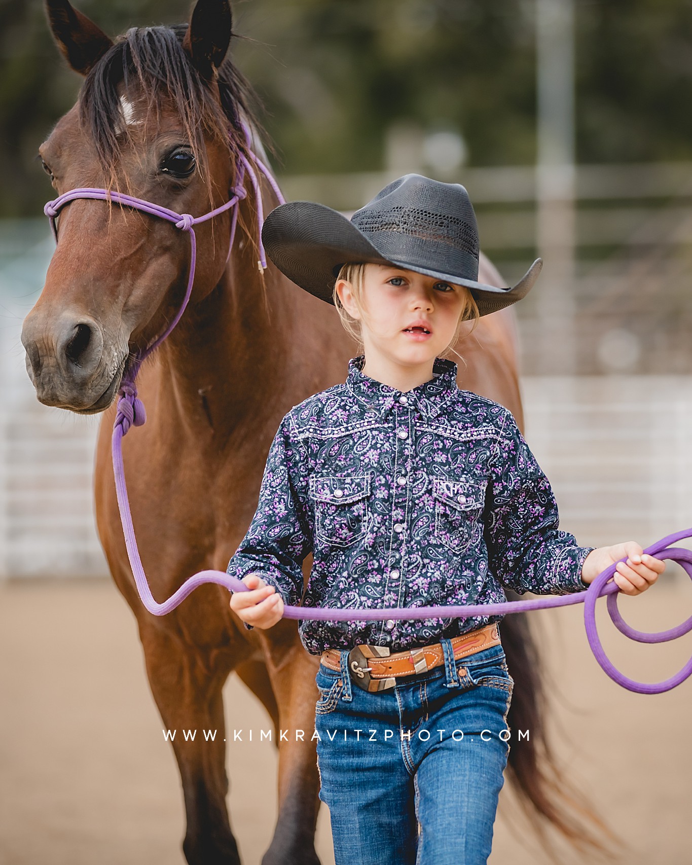 Crawford County Kansas Open horse show at the fairgrounds in girard kansas Kim Kravitz