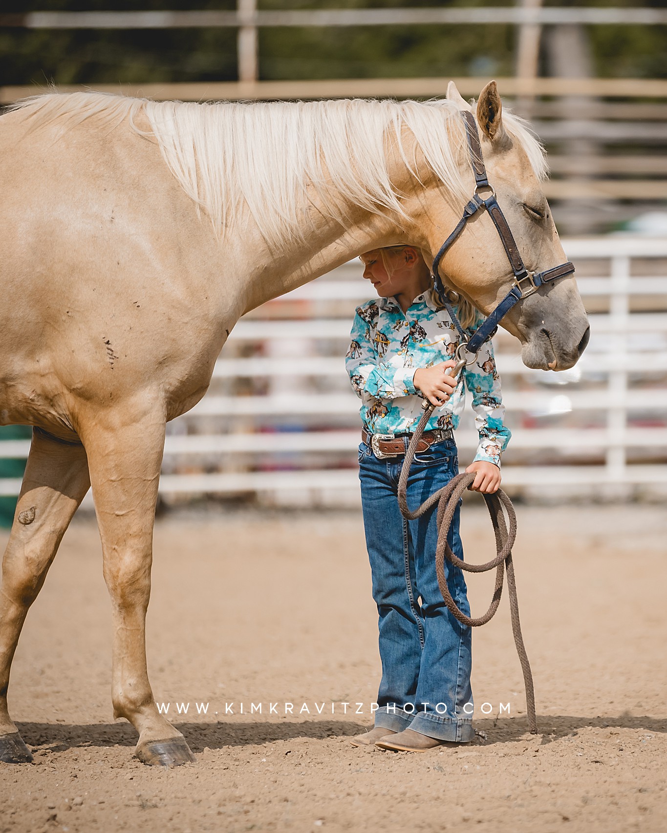 Crawford County Kansas Open horse show at the fairgrounds in girard kansas Kim Kravitz