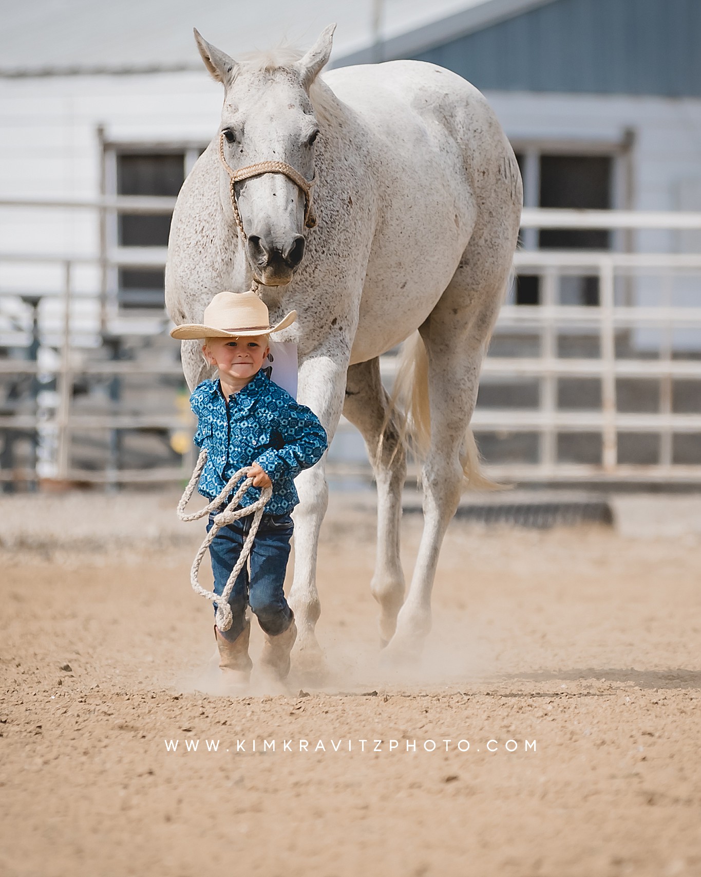 Crawford County Kansas Open horse show at the fairgrounds in girard kansas Kim Kravitz