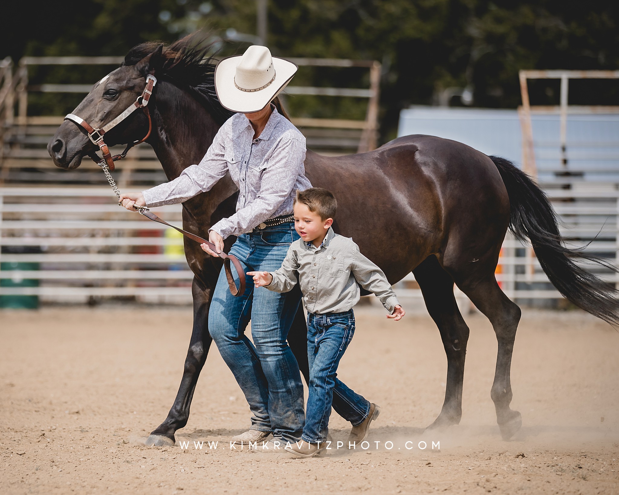 Crawford County Kansas Open horse show at the fairgrounds in girard kansas Kim Kravitz