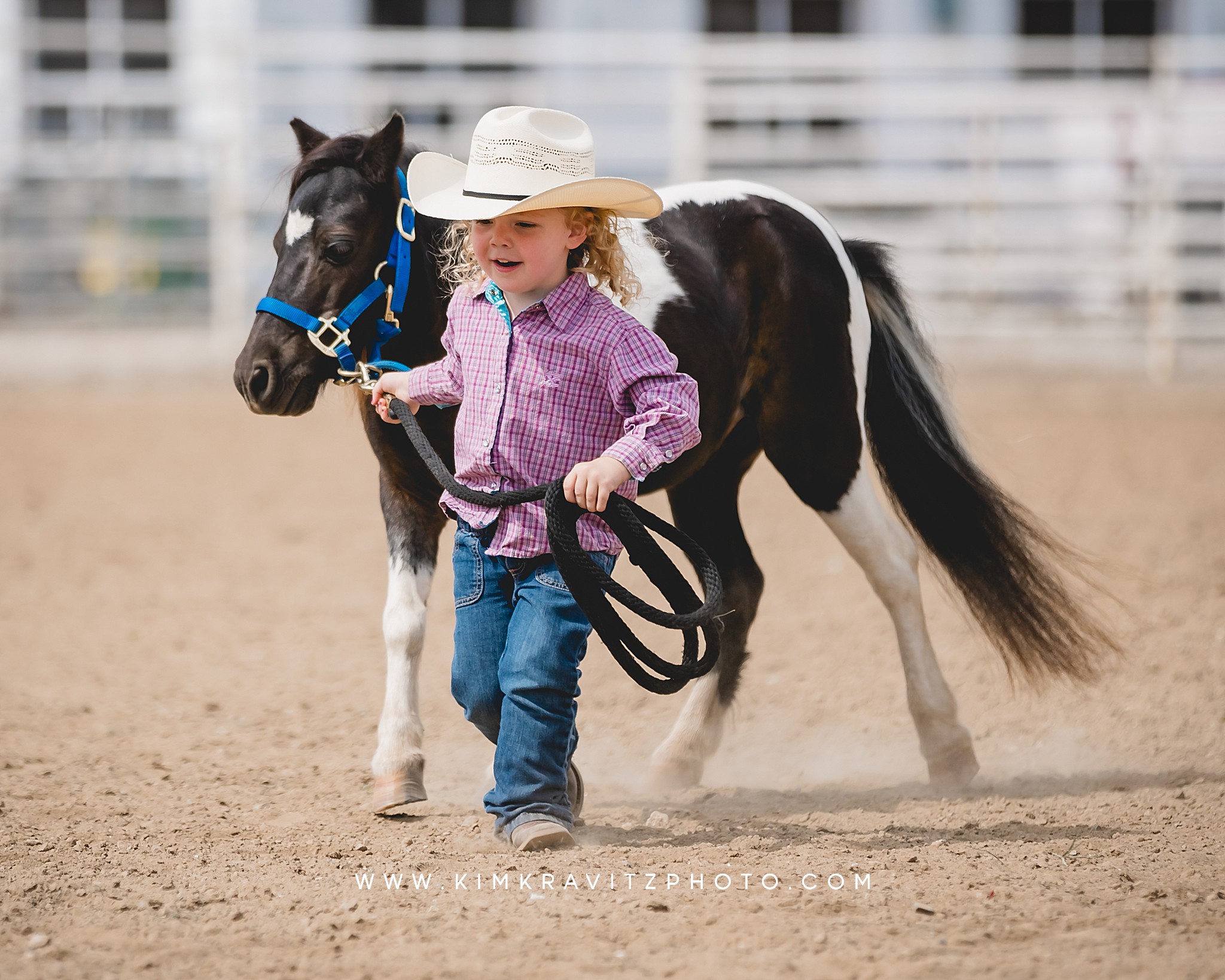 Crawford County Kansas Open horse show at the fairgrounds in girard kansas Kim Kravitz