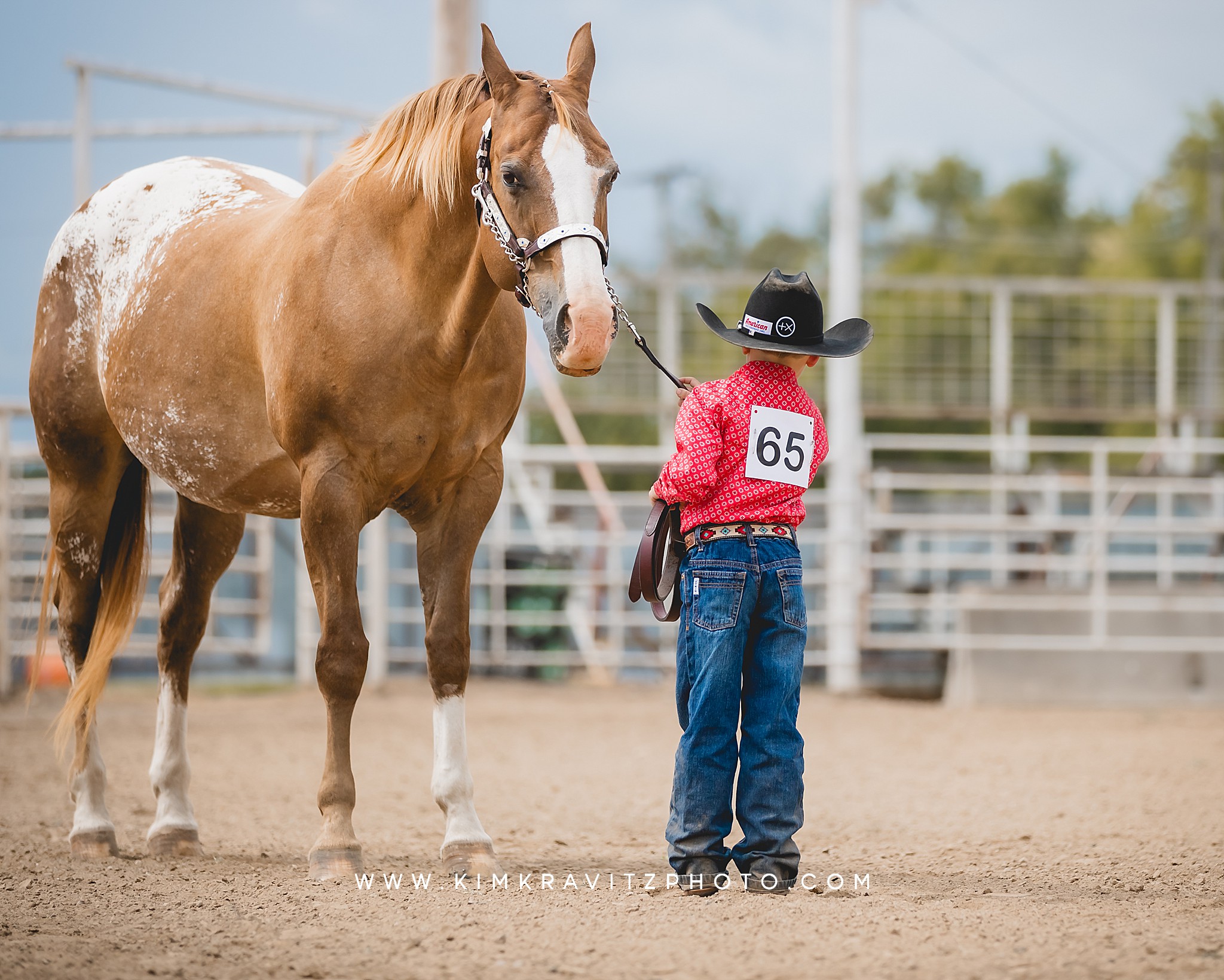 Crawford County Kansas Open horse show at the fairgrounds in girard kansas Kim Kravitz