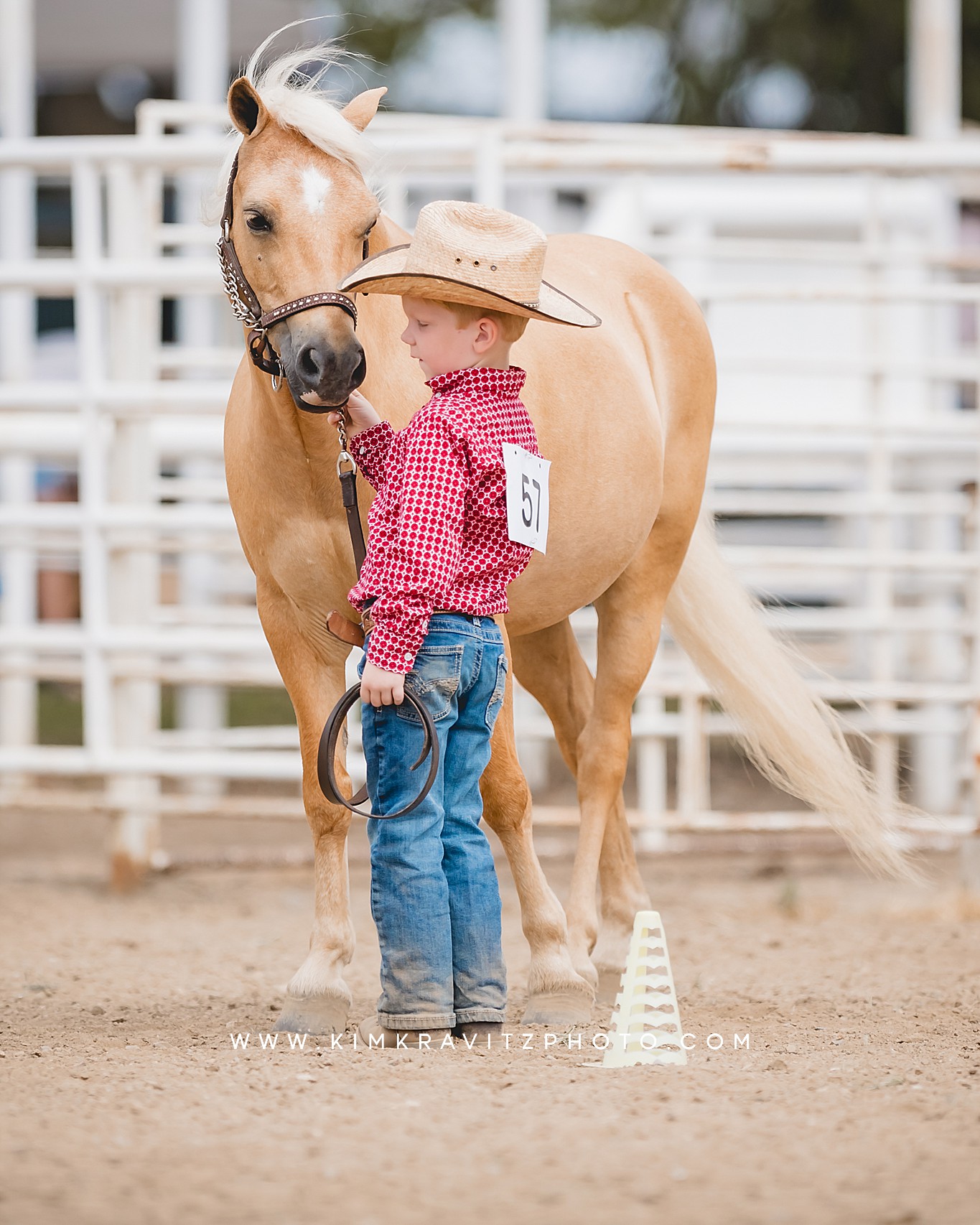 Crawford County Kansas Open horse show at the fairgrounds in girard kansas Kim Kravitz