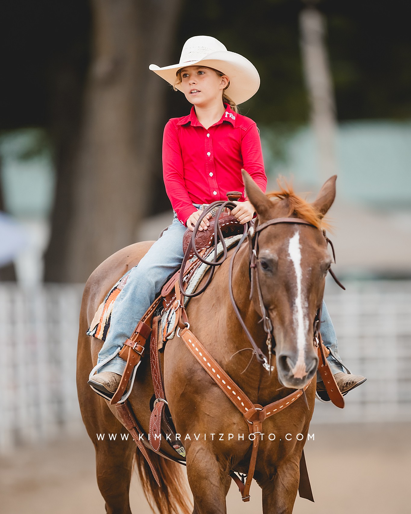 Crawford County Kansas Open horse show at the fairgrounds in girard kansas Kim Kravitz