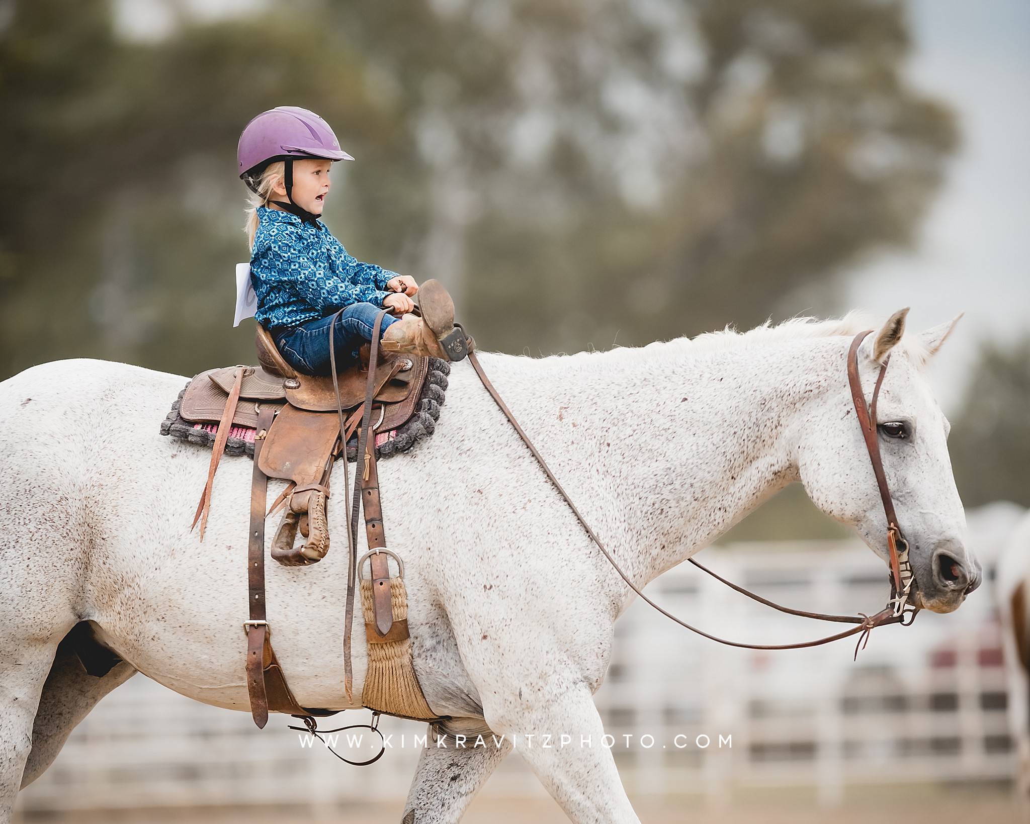 Crawford County Kansas Open horse show at the fairgrounds in girard kansas Kim Kravitz