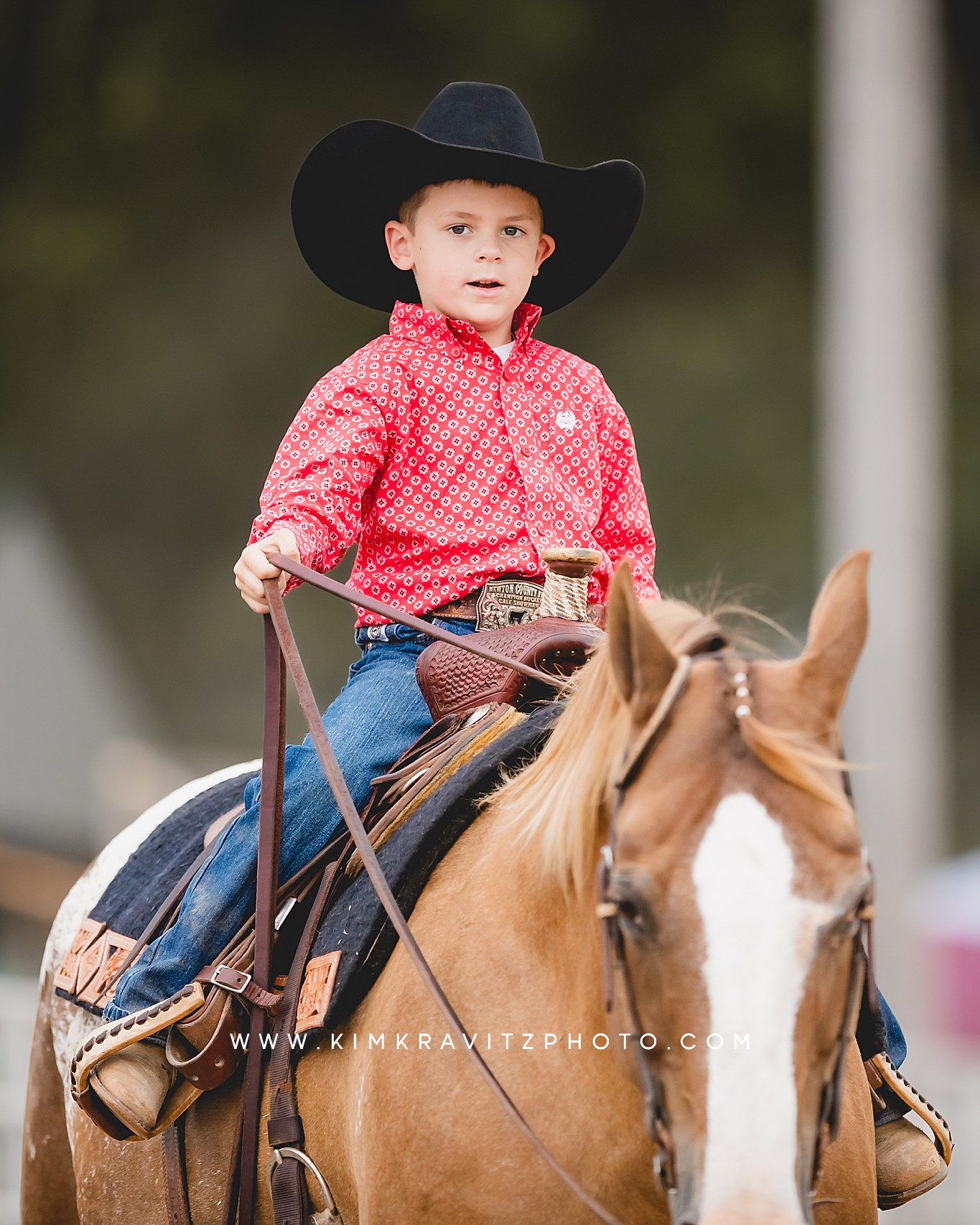 Crawford County Kansas Open horse show at the fairgrounds in girard kansas Kim Kravitz