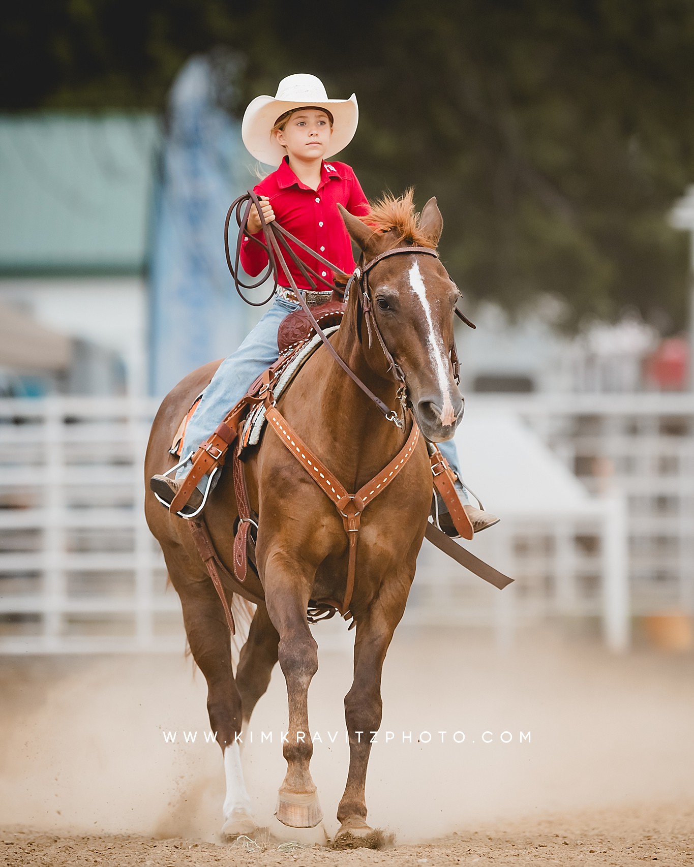 Crawford County Kansas Open horse show at the fairgrounds in girard kansas Kim Kravitz