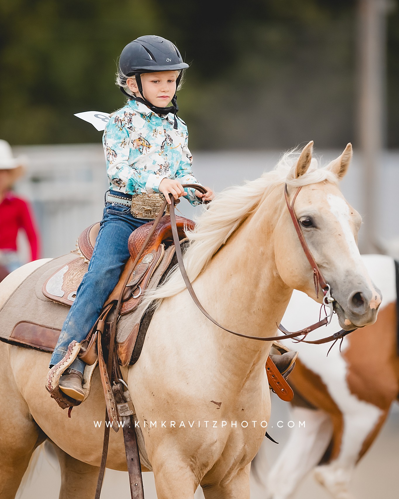 Crawford County Kansas Open horse show at the fairgrounds in girard kansas Kim Kravitz