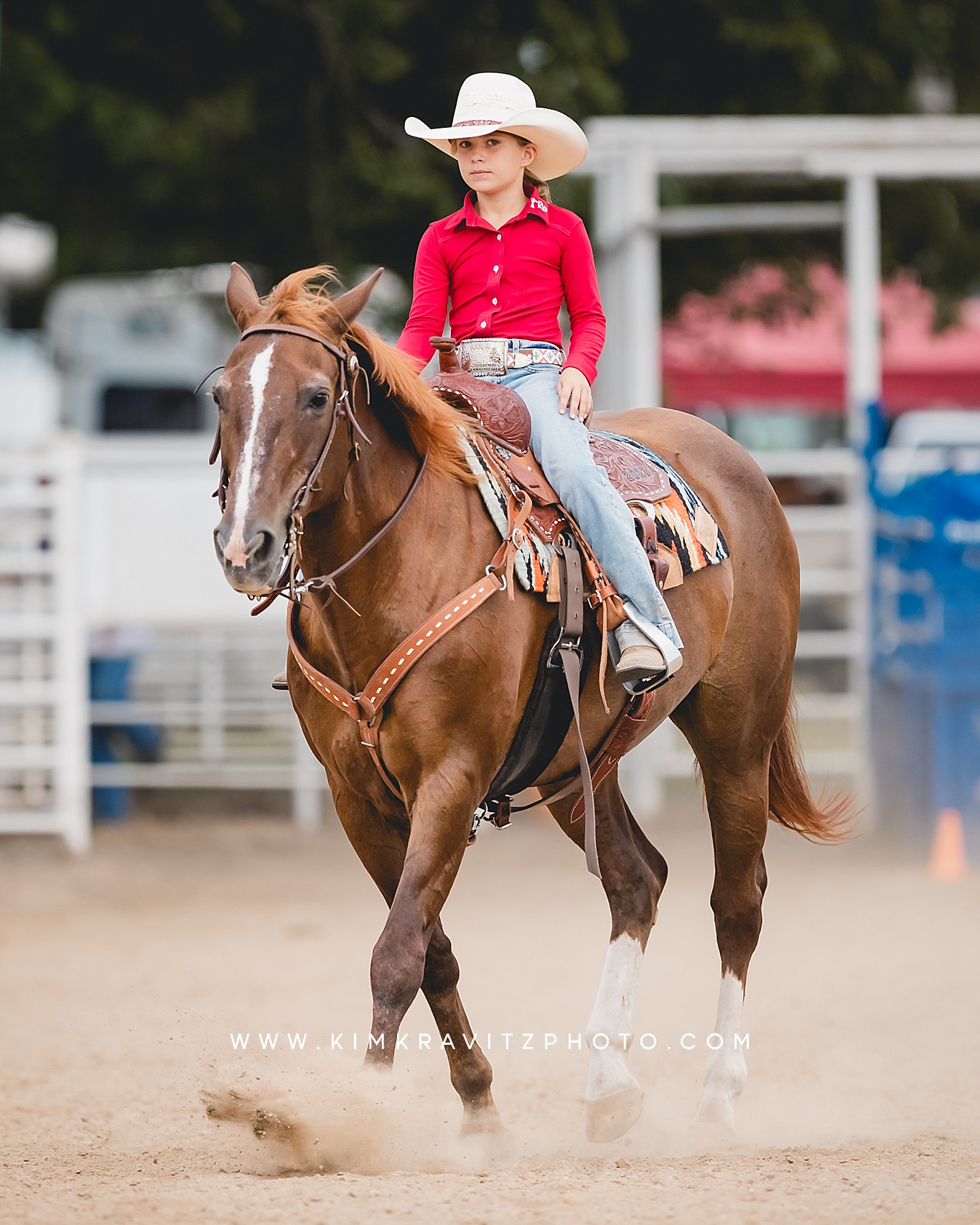 Crawford County Kansas Open horse show at the fairgrounds in girard kansas Kim Kravitz