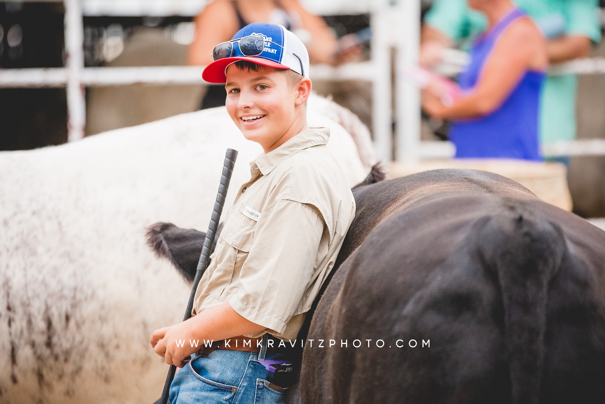 2023 Crawford County Kansas Fair Livestock Show Beef