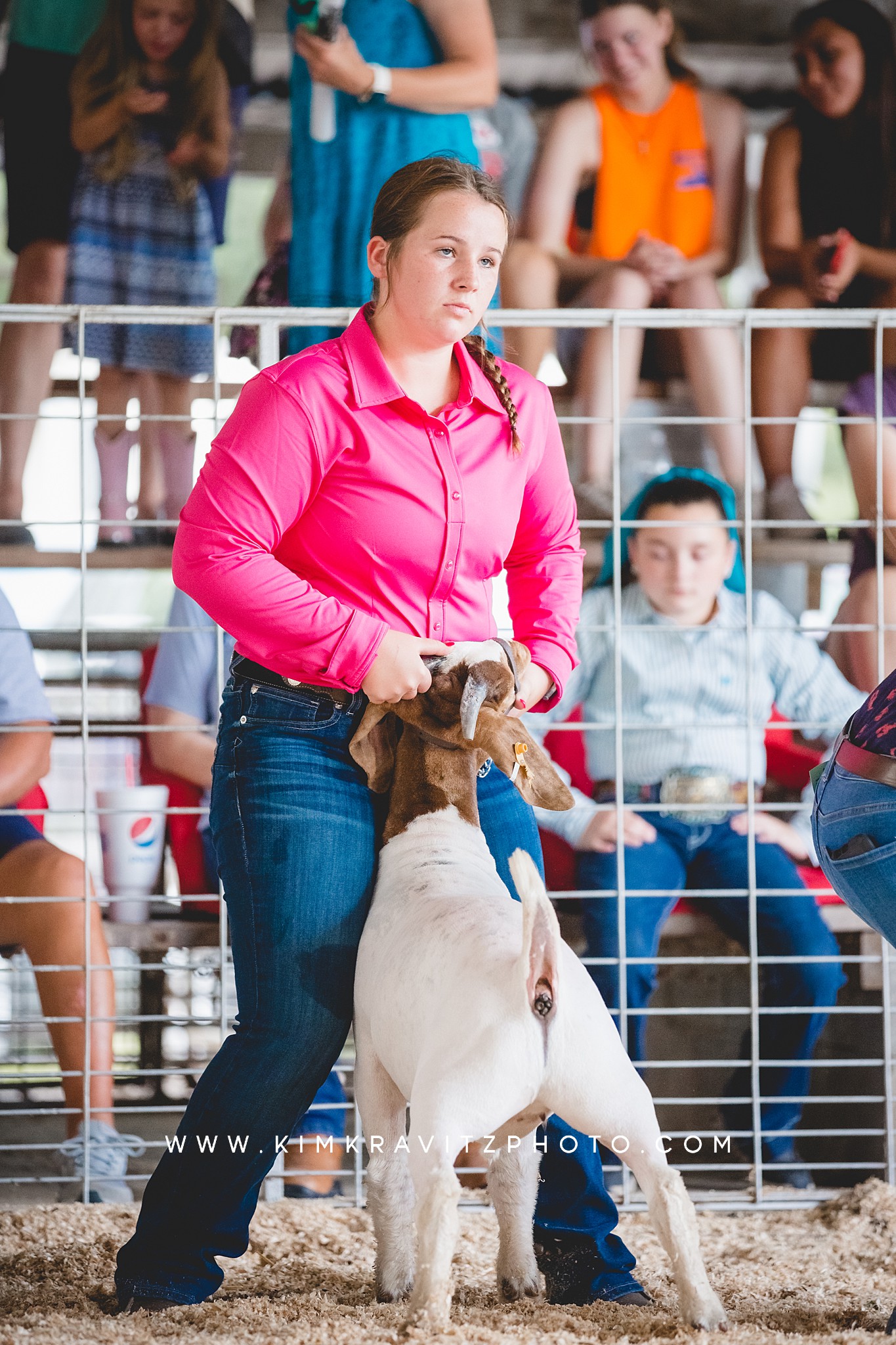 2023 Crawford County Kansas Fair Livestock Show Goat