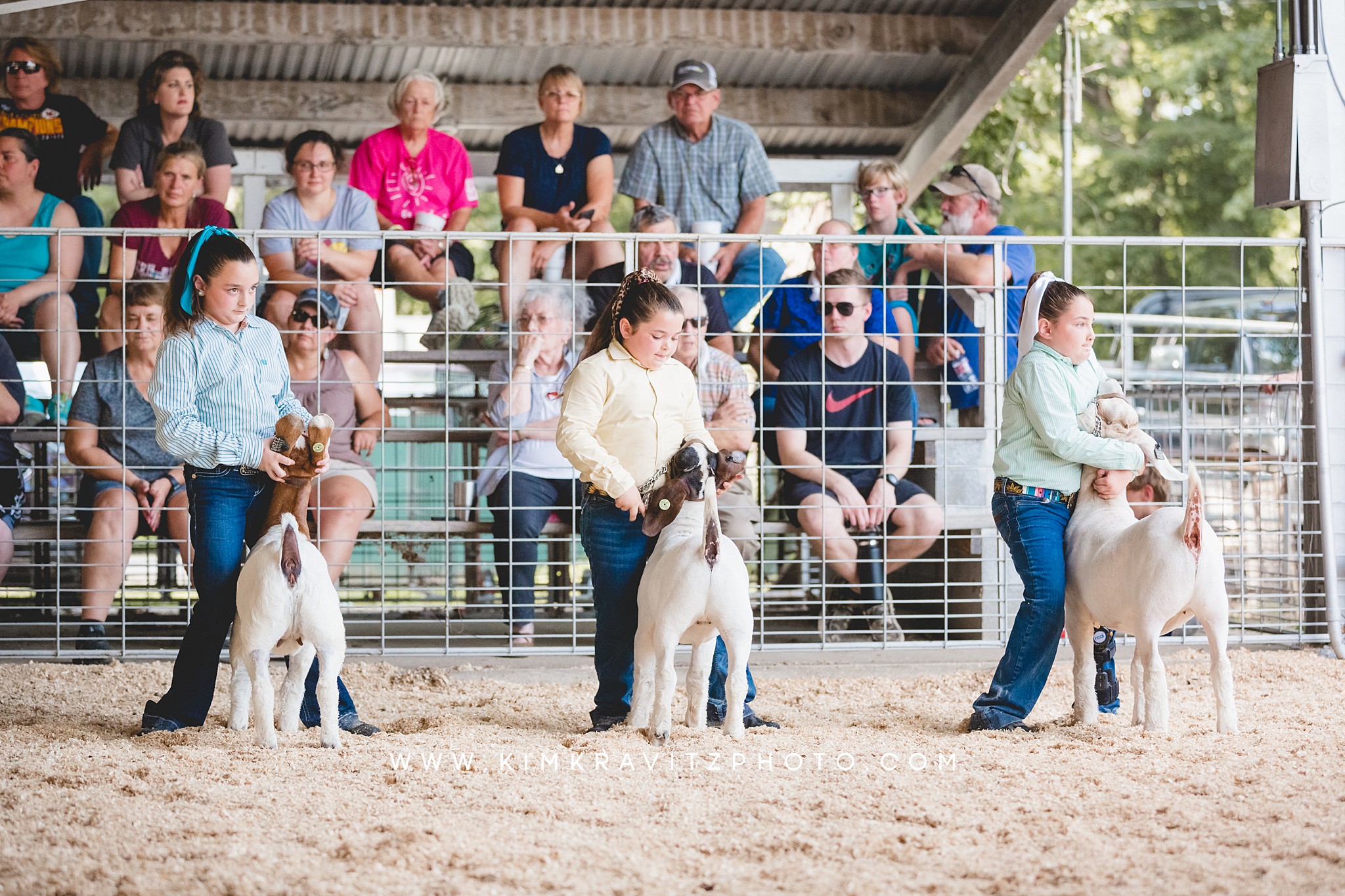 2023 Crawford County Kansas Fair Livestock Show Goat