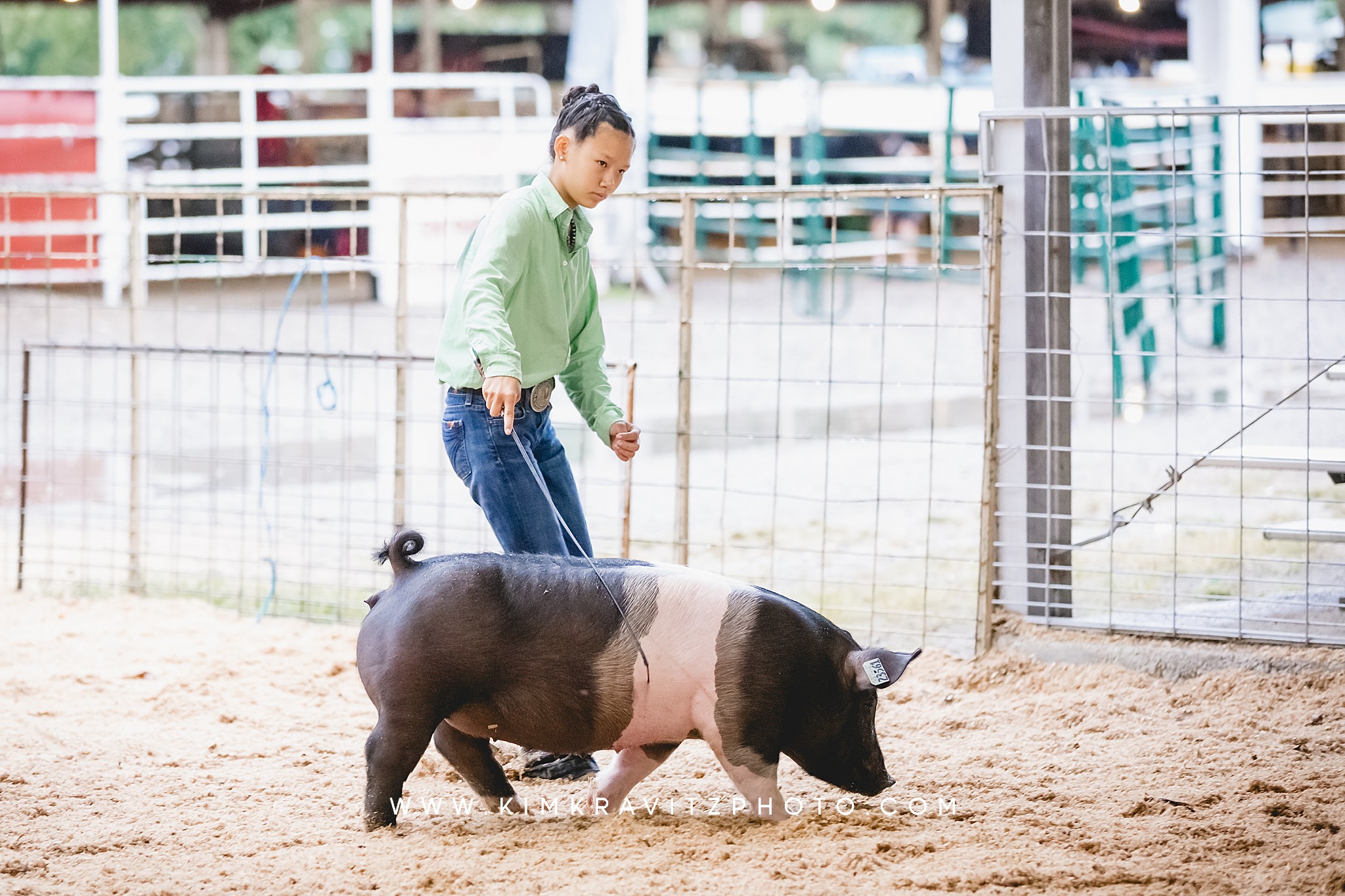 2023 Crawford County Kansas Fair Swine Livestock Show