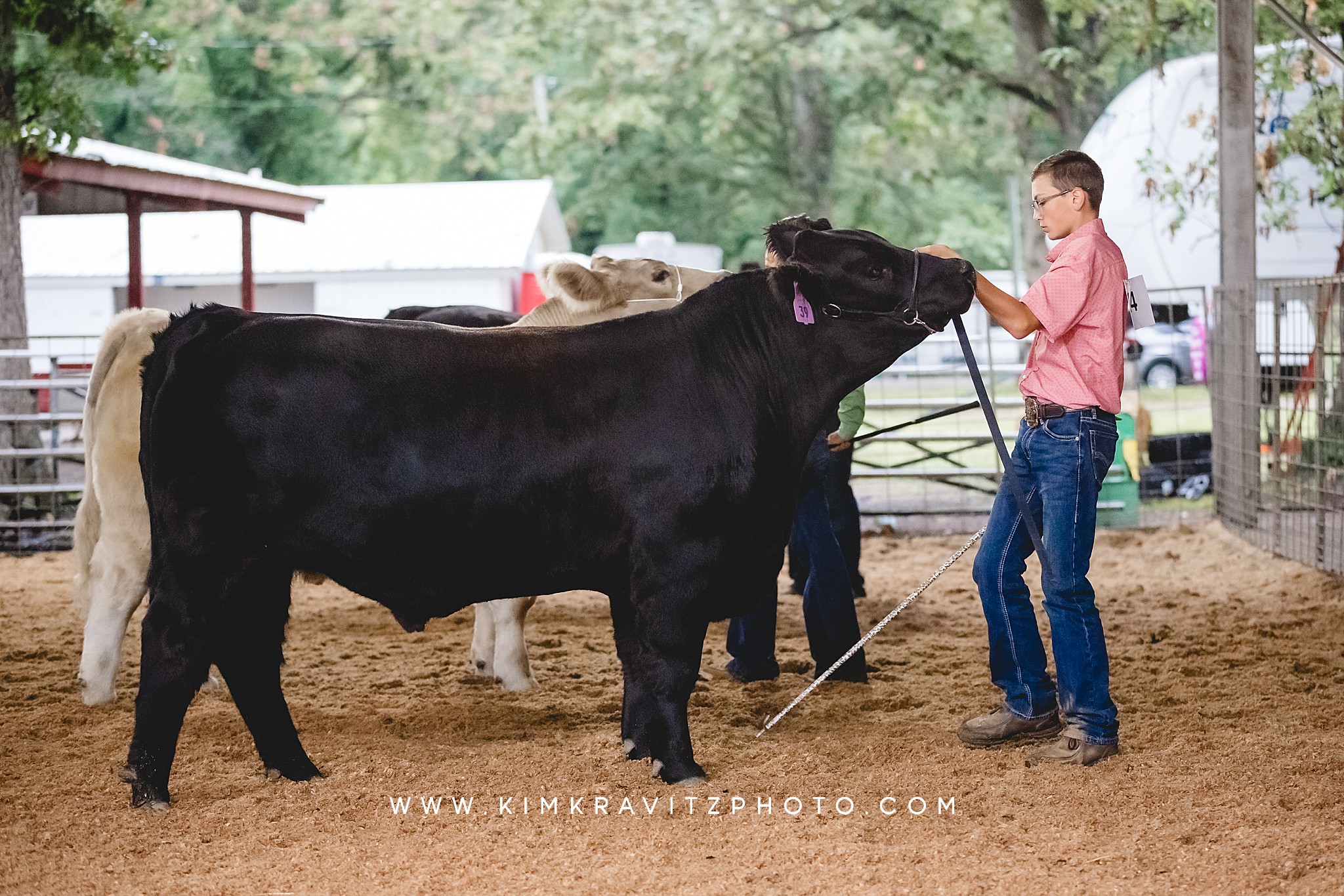 2023 Crawford County Kansas Fair Beef Livestock Show