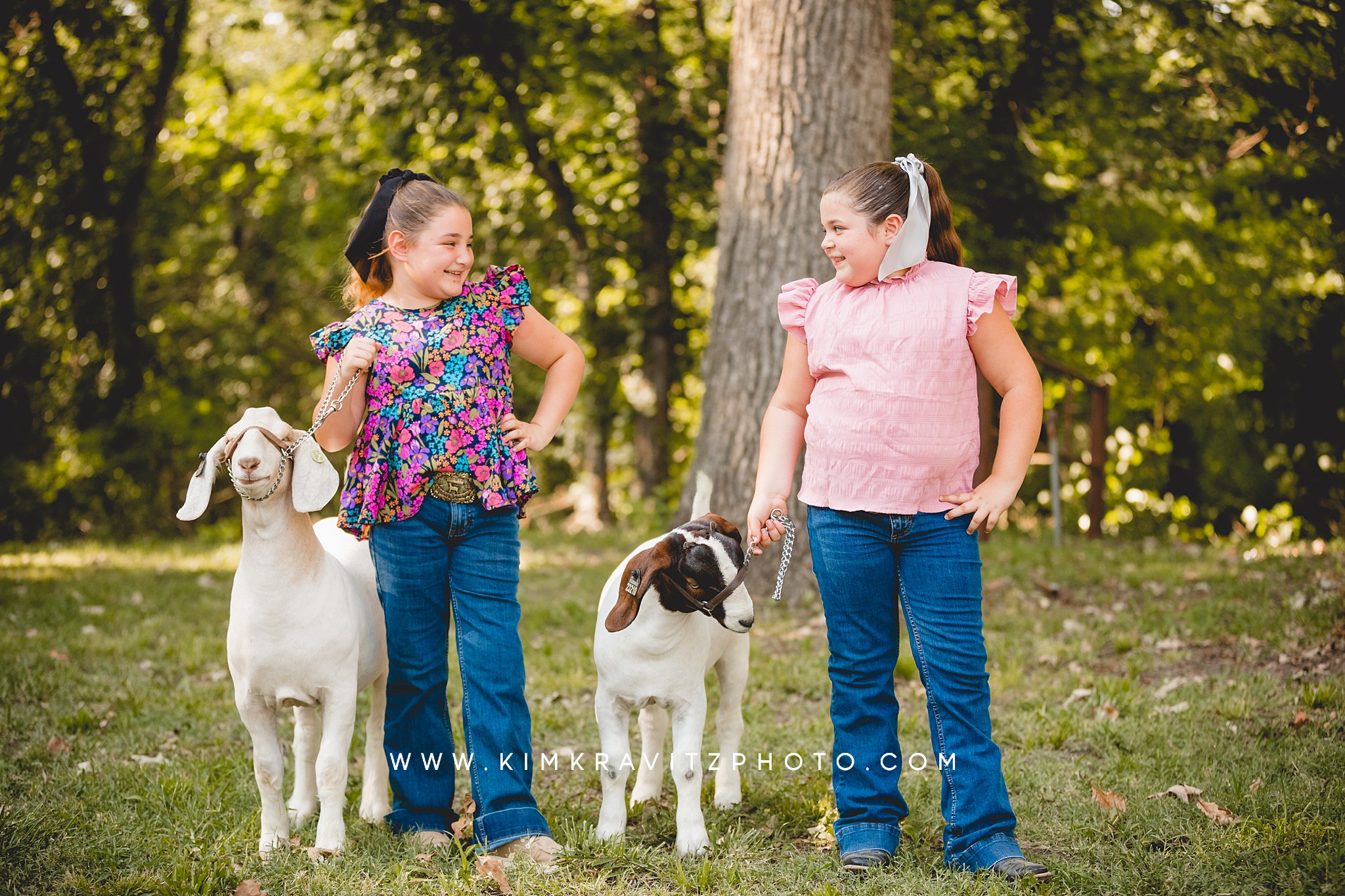 2023 Crawford County Kansas Fair Livestock Show Goat