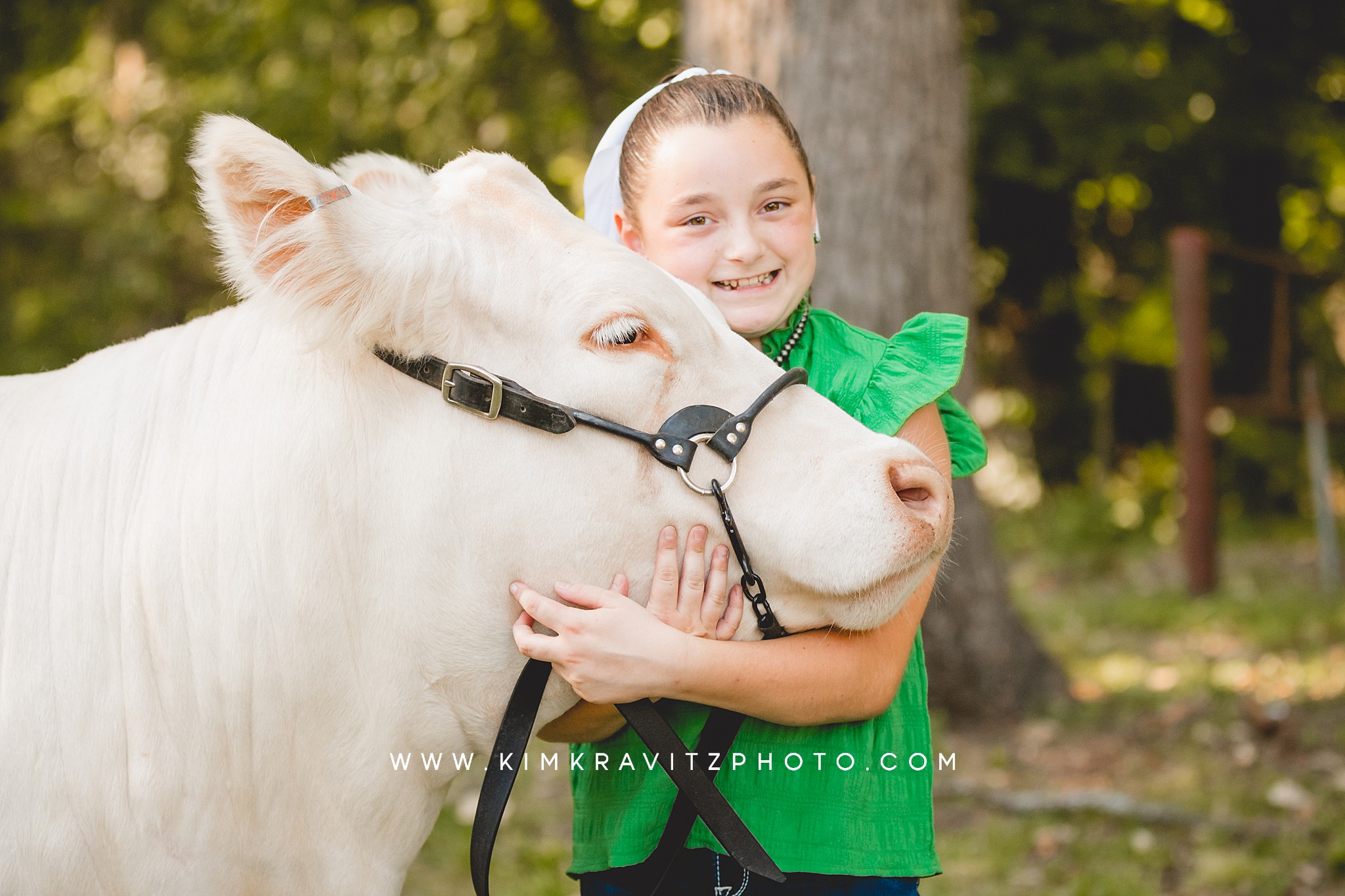 2023 Crawford County Kansas Fair Livestock Show Beef