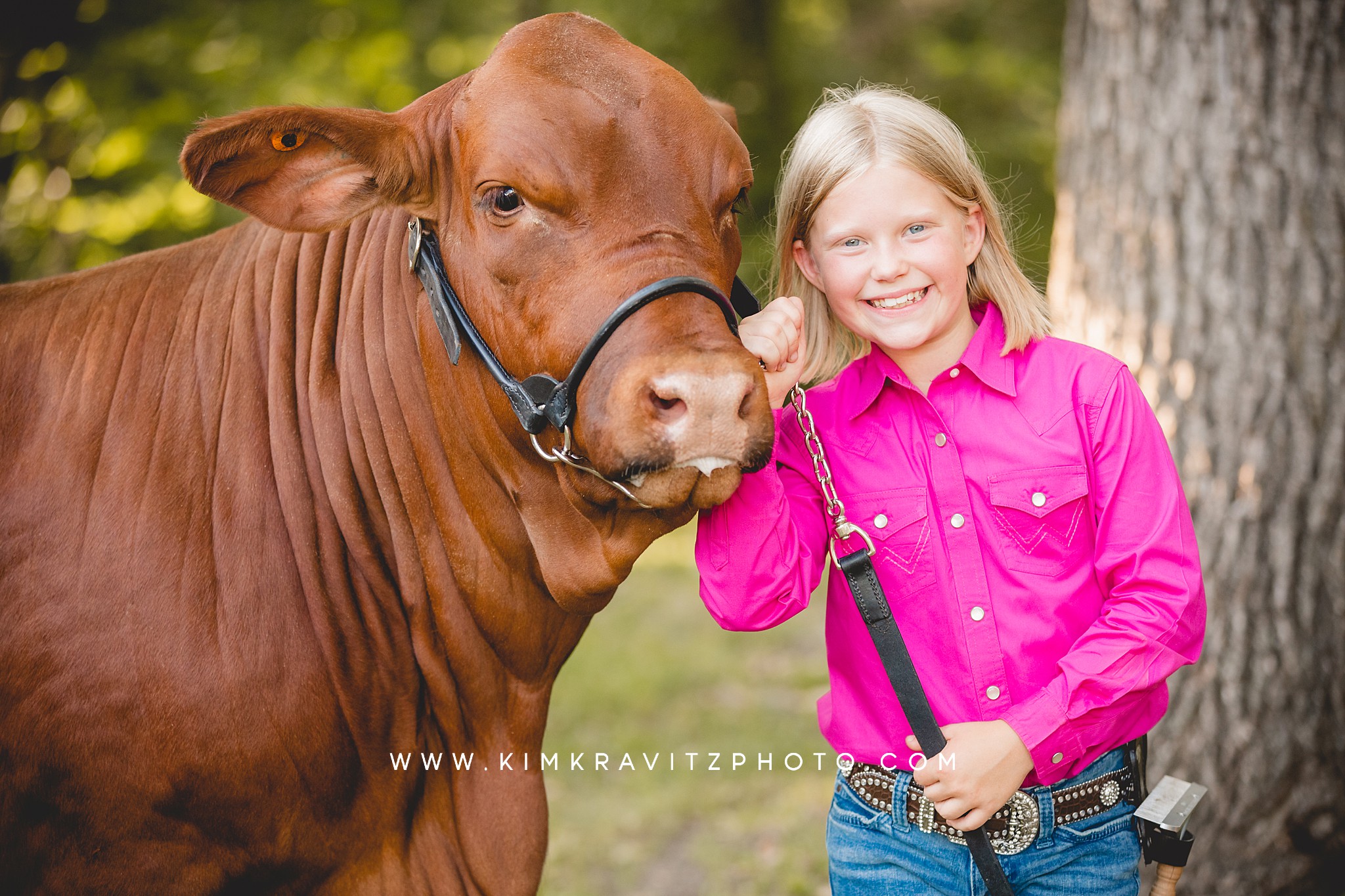 2023 Crawford County Kansas Fair Livestock Show Beef