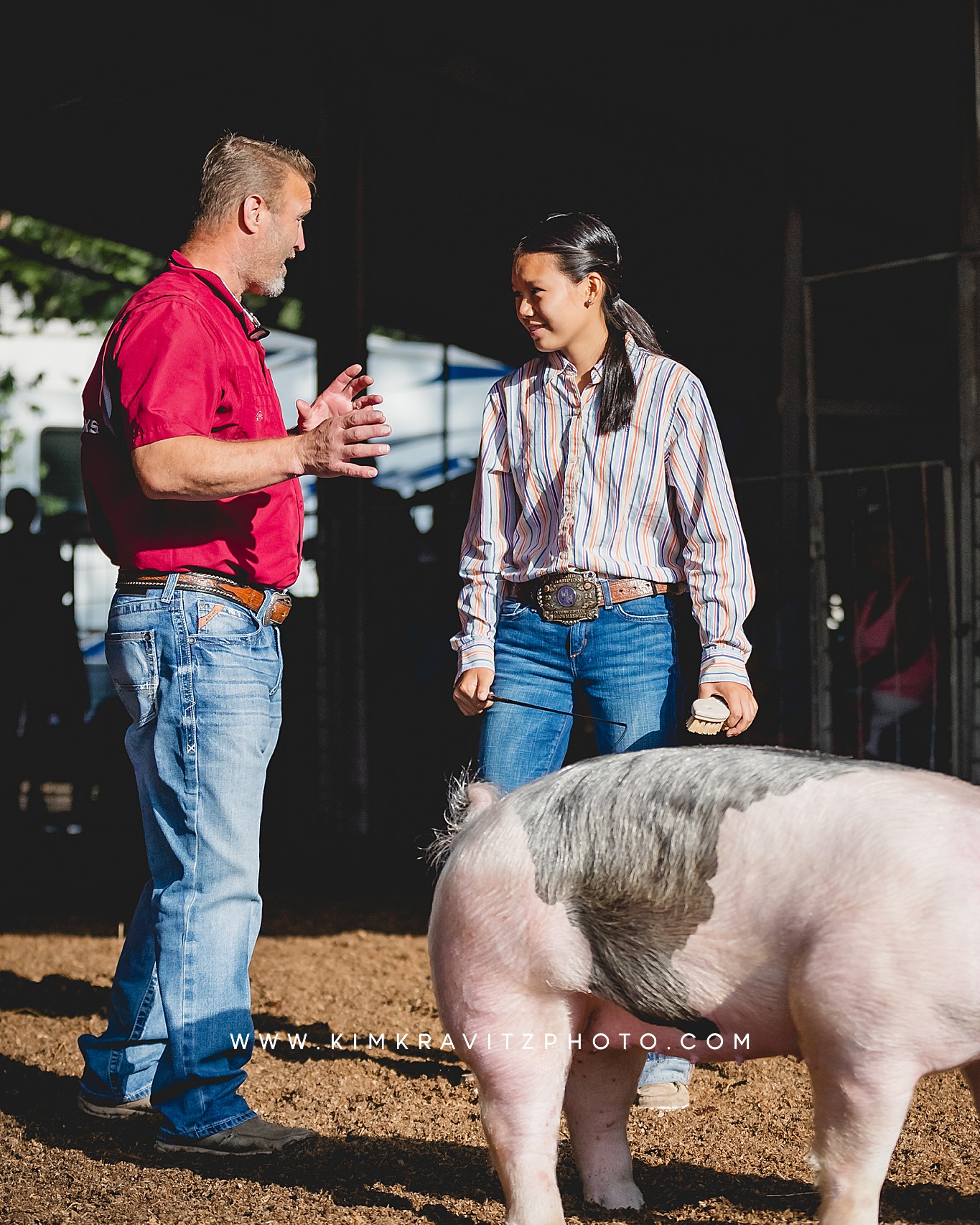 swine show at the Crawford County Fair