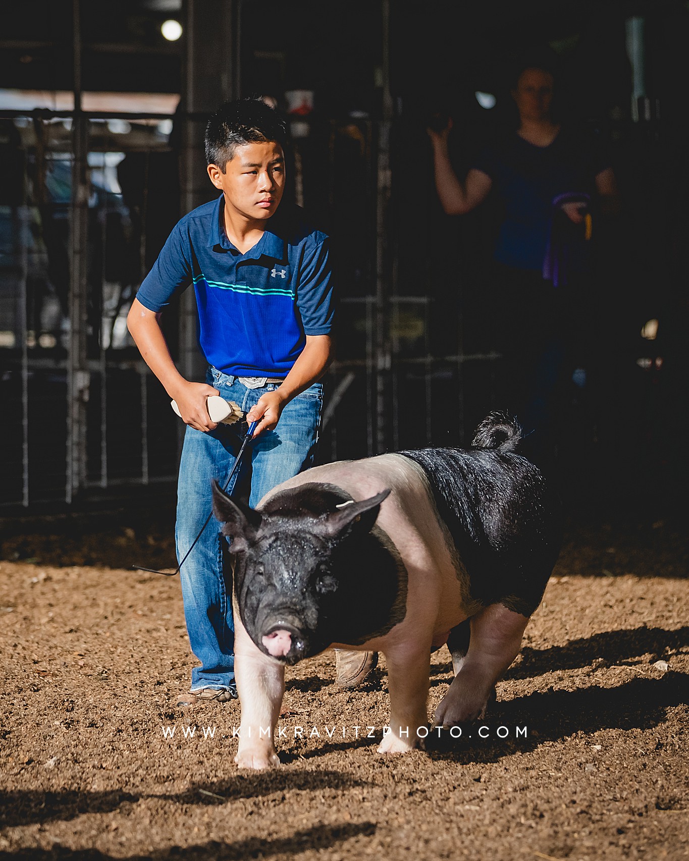 swine show at the Crawford County Fair