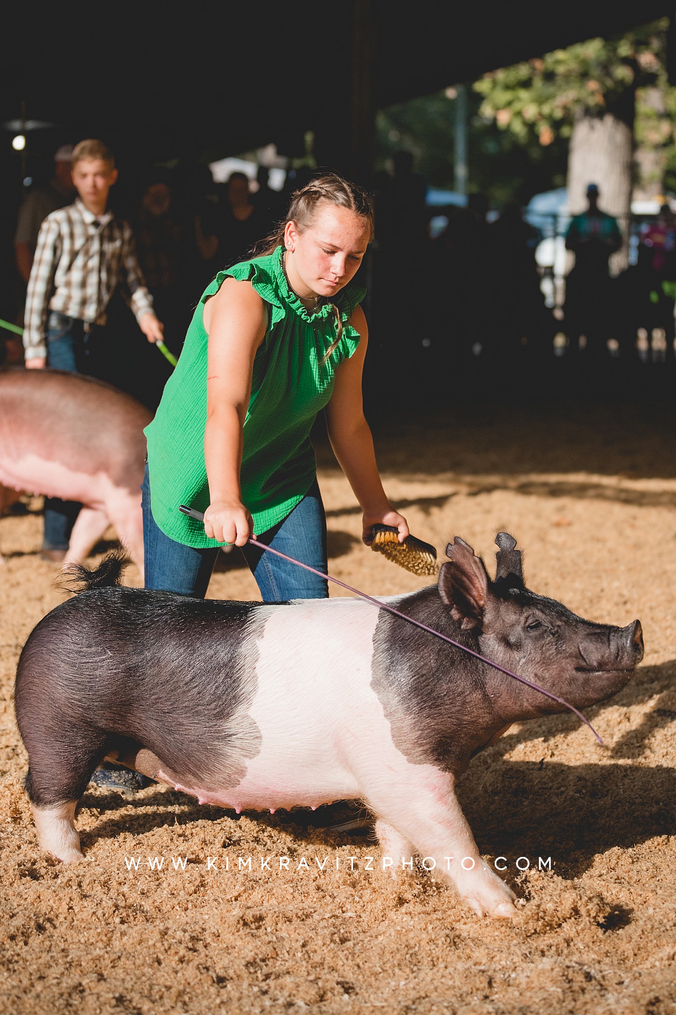 2023 Crawford County Kansas Fair Livestock Show Swine