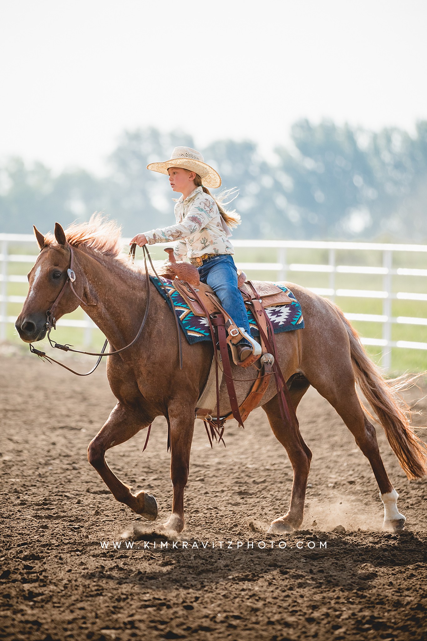 2023 Crawford County Kansas Fair Horse Show