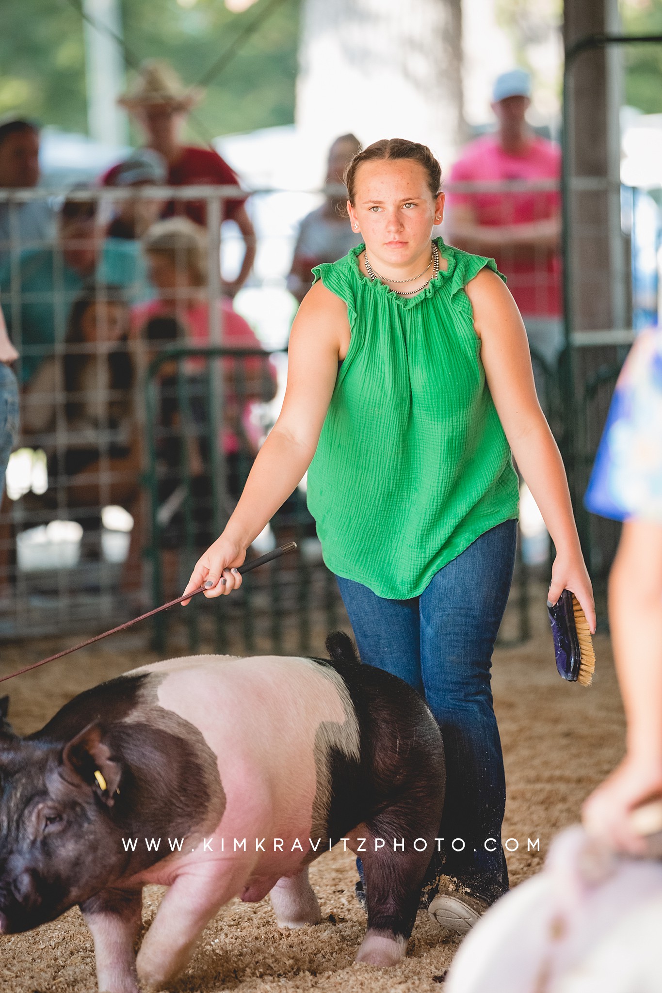 2023 Crawford County Kansas Fair Livestock Show Swine