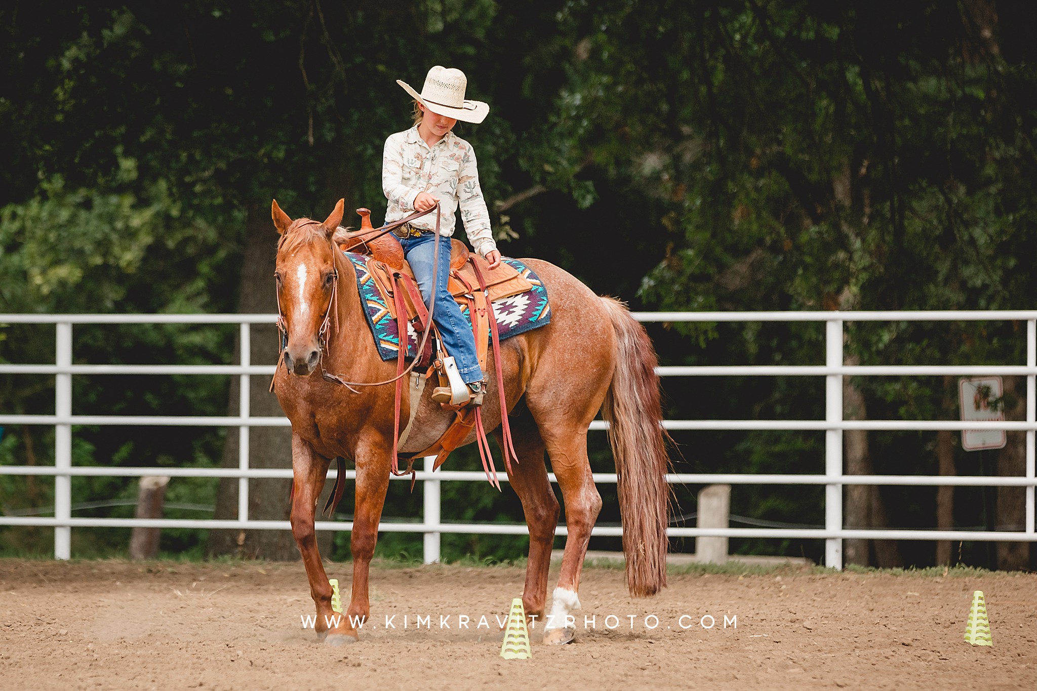 2023 Crawford County Kansas Fair Horse Show