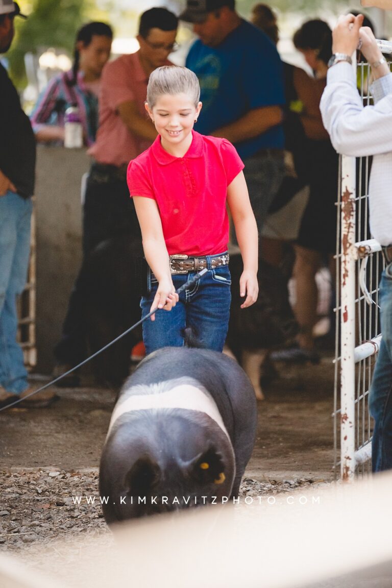 kim kravitz aberdeen maryland swine show