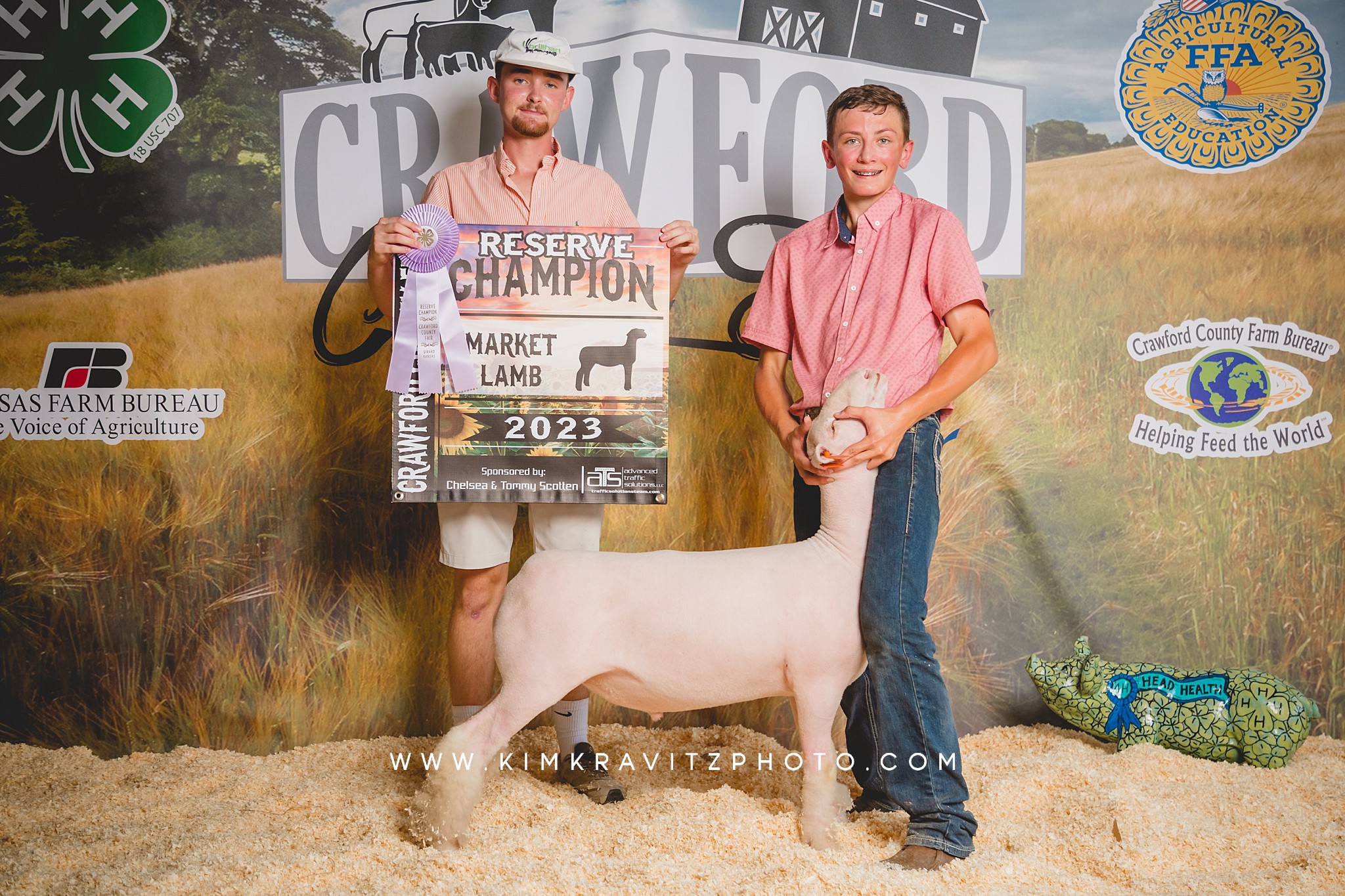 Sheep livestock show at the Crawford county fair kansas backdrop