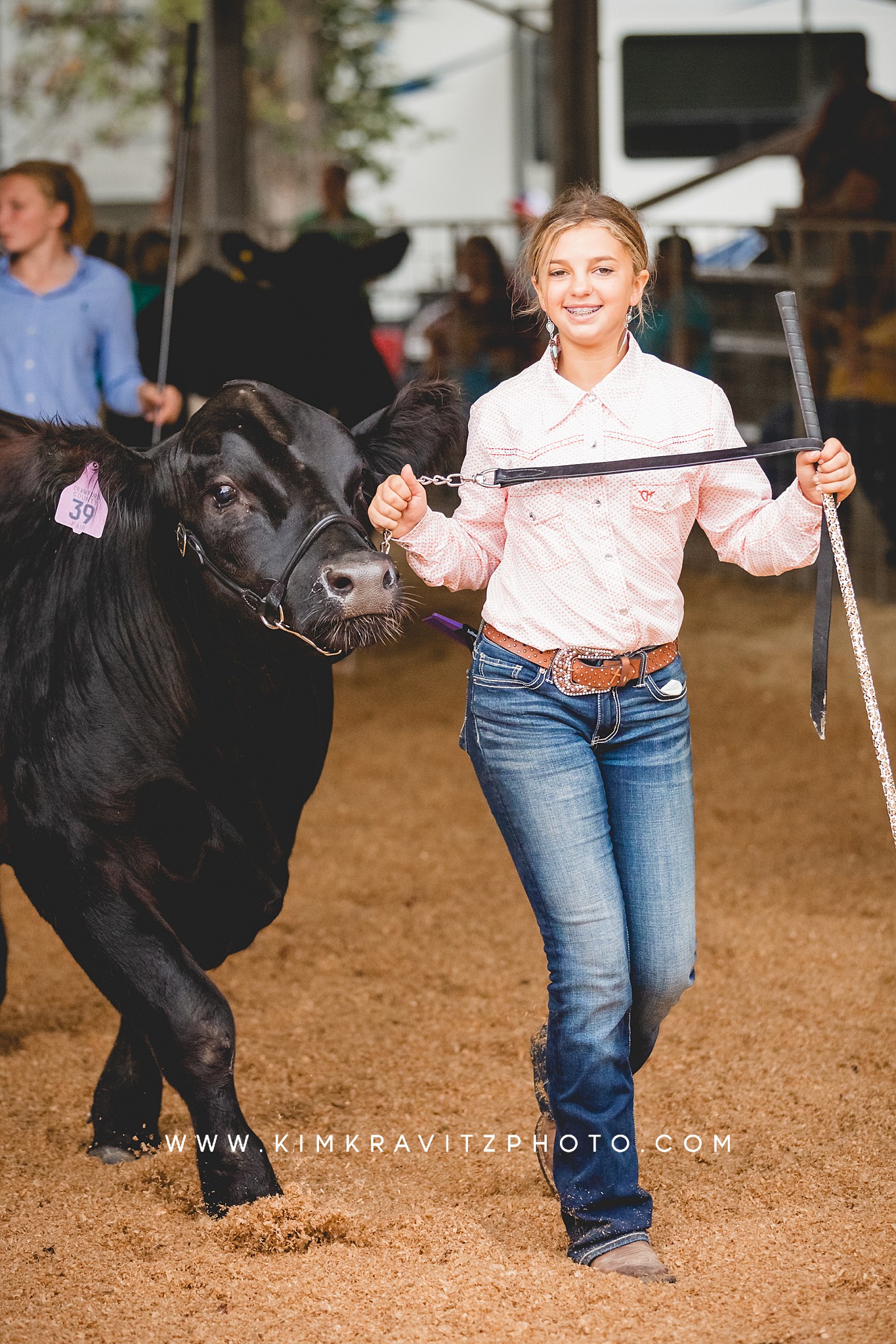 Beef livestock show at the Crawford county fair kansas