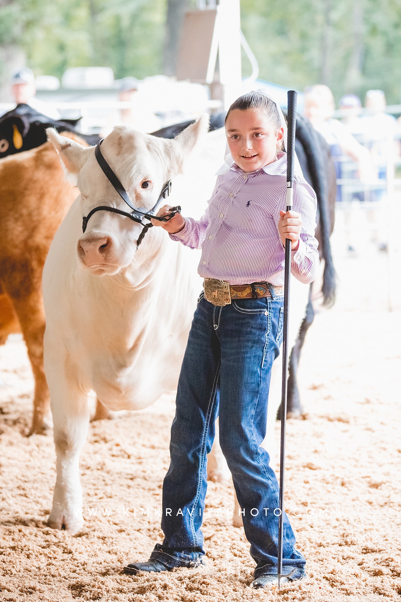 Livestock Photographer County Fair Kim Kravitz