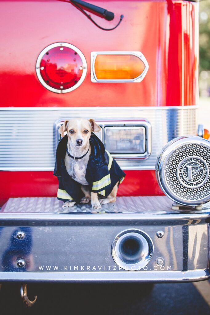 firehouse dog mascot girard kansas kim kravitz