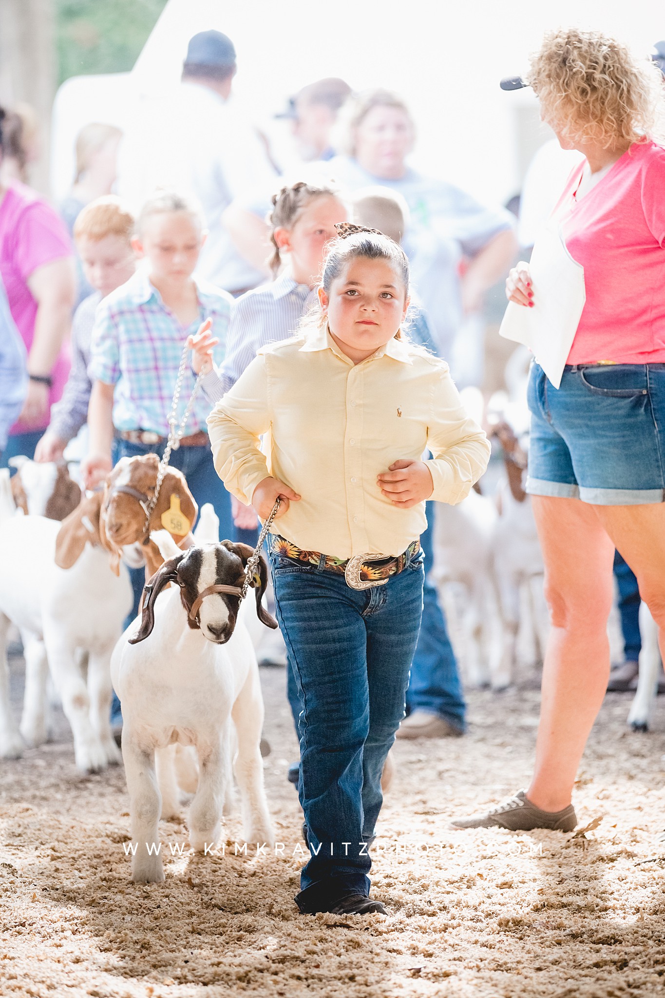 meat goat 4-h livestock show at the Crawford county fair kansas