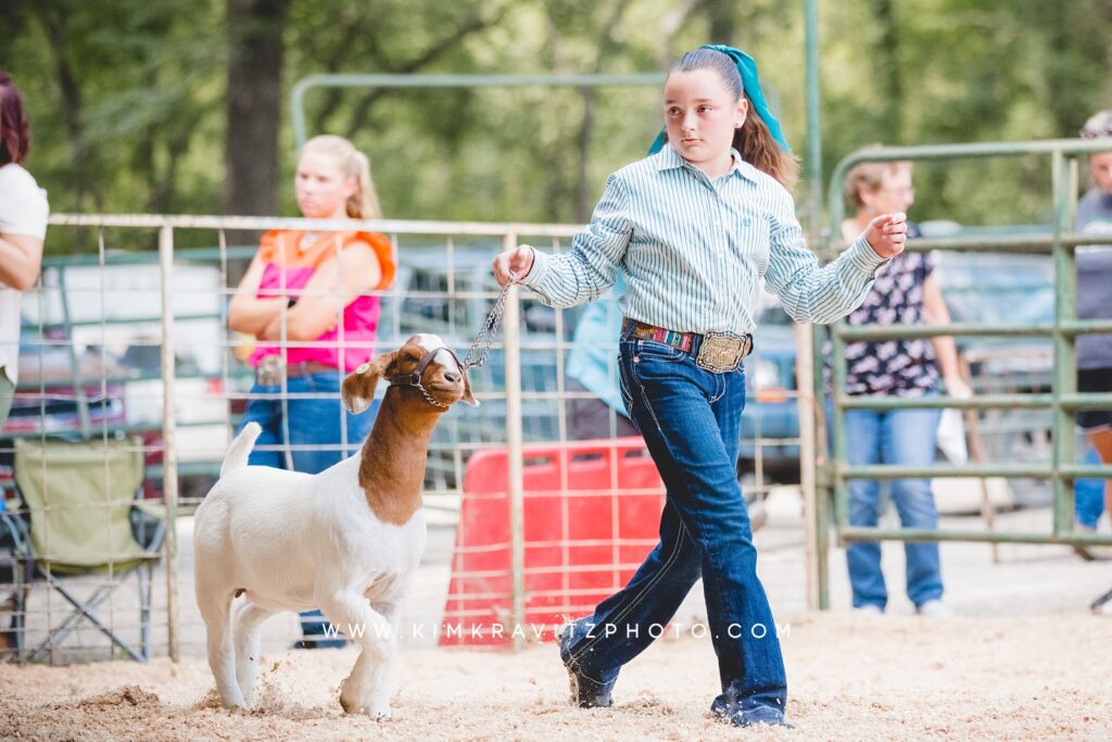 meat goat 4-h show county fair