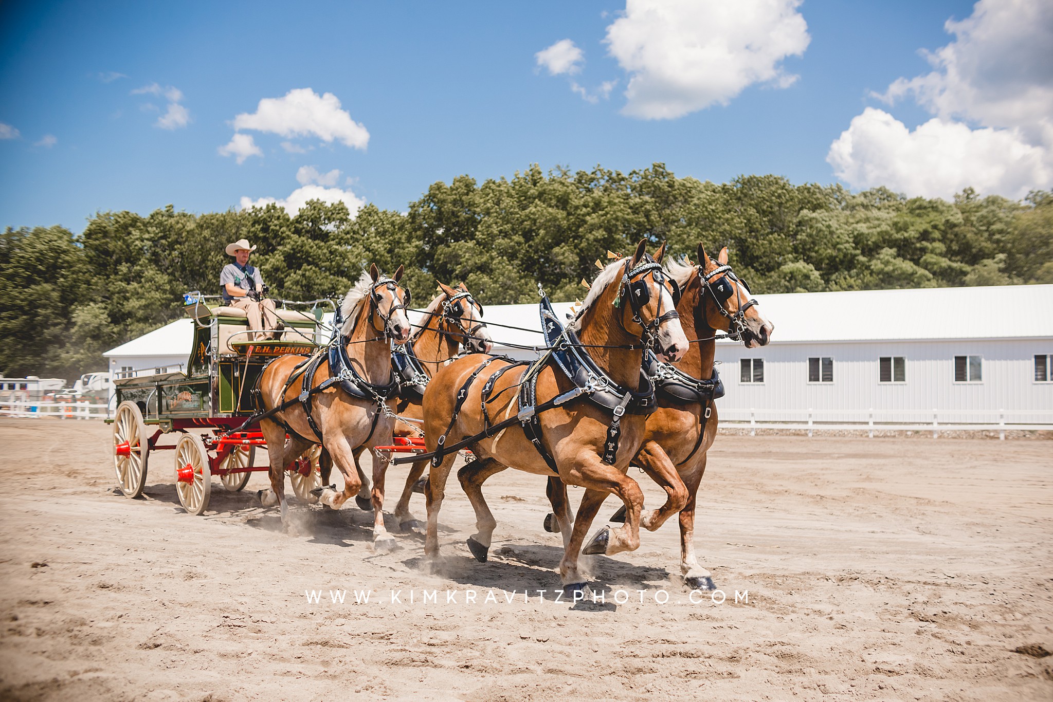 draft horse show county fair livestock show 