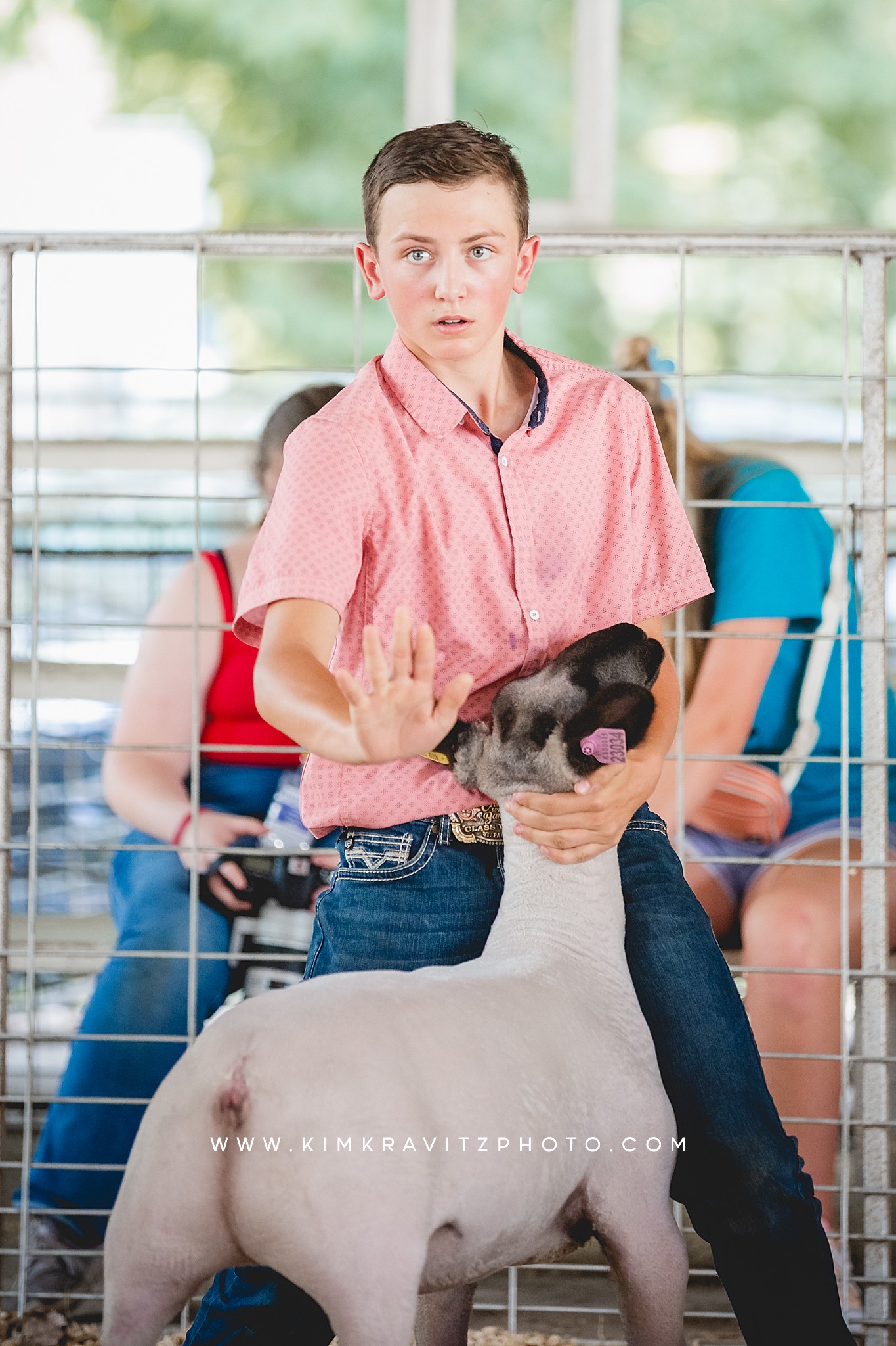 Show Sheep at the 2023 Crawford County Fair in Girard, Kansas Kole Harris