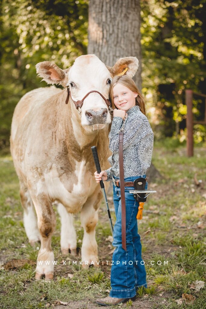 Ohio show steer livestock photography