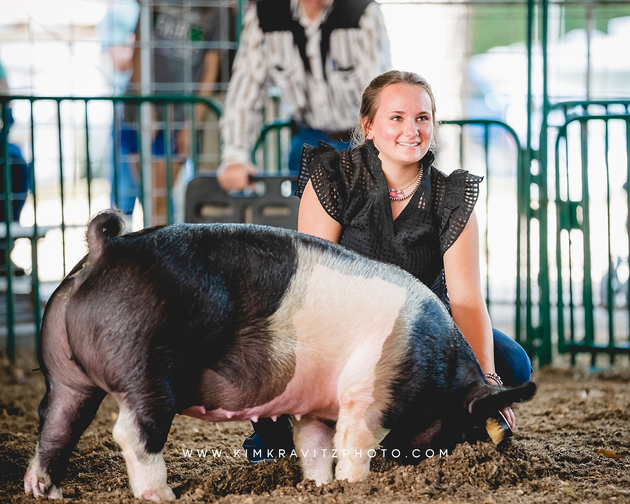 swine show at the Crawford County Fair Kinsley Harris Hepler Kansas