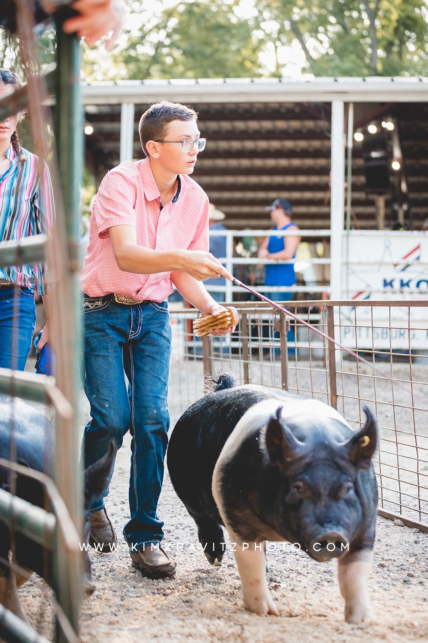 swine livestock show at the Crawford county fair kansas