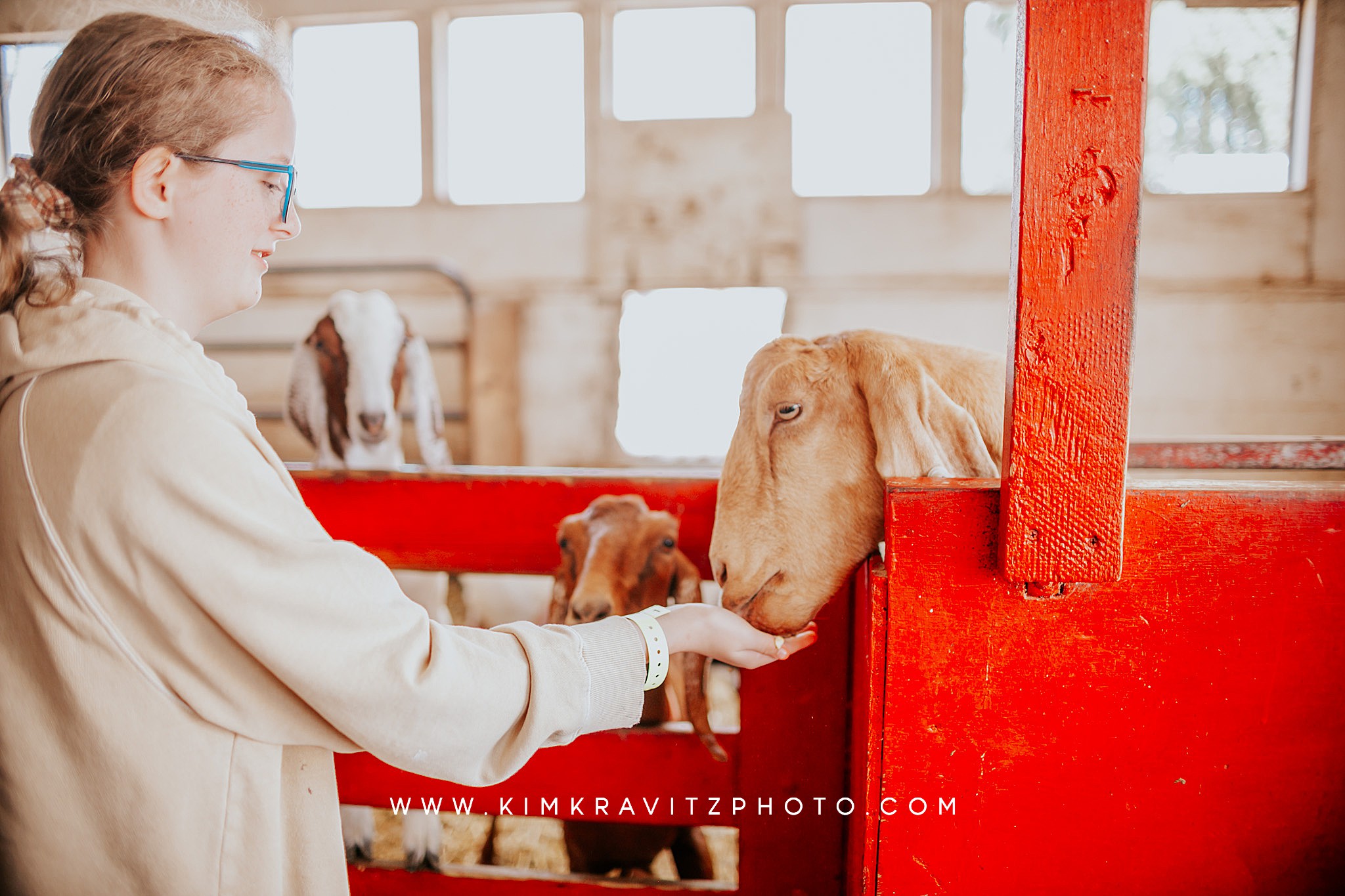 dairy goat barn young's jersey dairy yellow springs Ohio